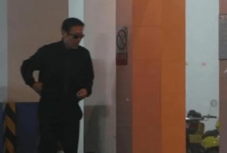 孙红雷与左小青恋爱过吗,陈道明左小青孙红雷