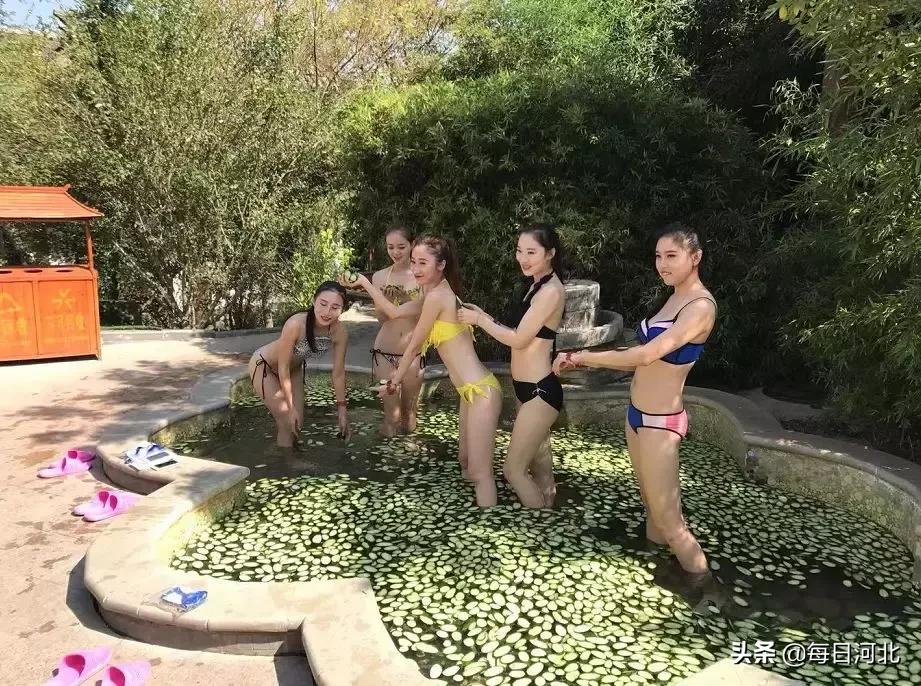 白鹿县私人温泉,白鹿温泉室内温泉