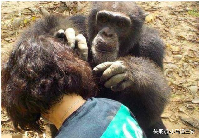 农村人现在还长虱子吗,为什么以前农村的虱子现在少见了