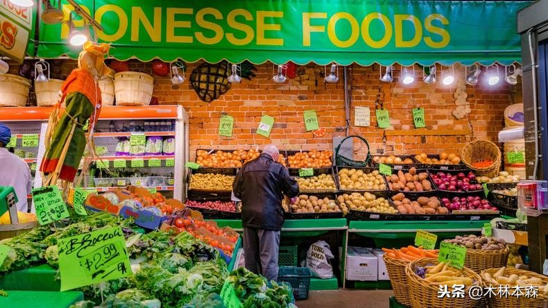 加拿大多伦多生活日记,加拿大多伦多留学生活纪实