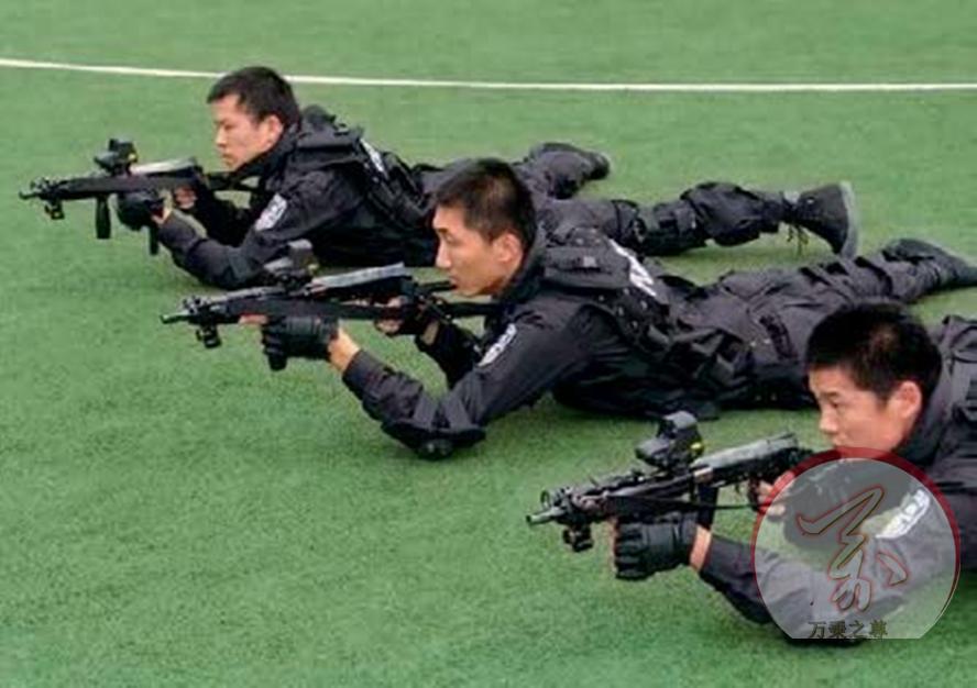 如何应对犯罪分子，21世纪以来中国警察*器武**装备的缺陷与问题