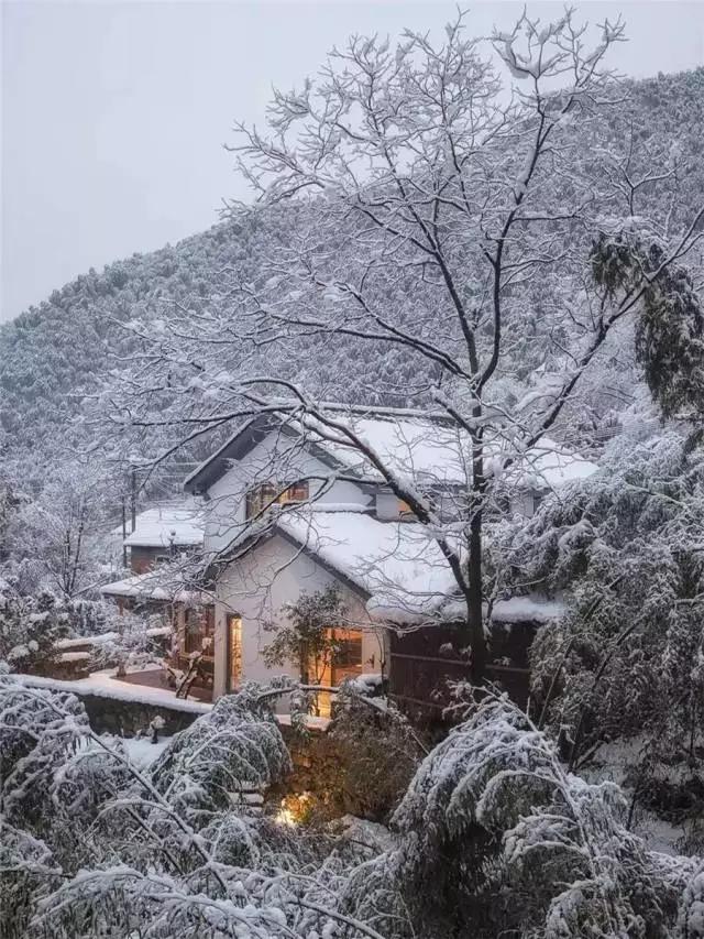 莫干山竹海民宿十佳排名,莫干山竹林深处7家温泉民宿