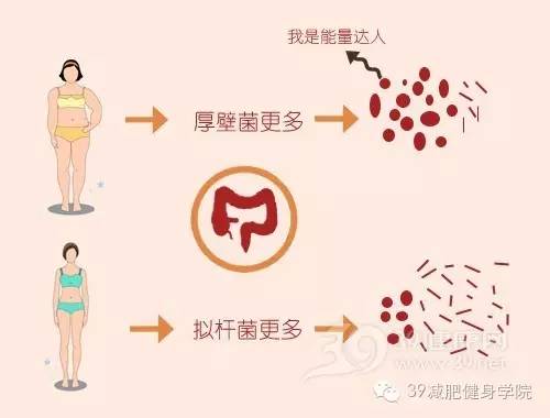 倩狐减肥管用吗,倩狐减肥怎么样了