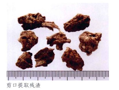 中药材真伪鉴别常用的方法有哪些,中药材真伪鉴别彩色图谱大全