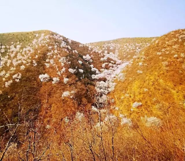 京郊四月美景,京郊四月