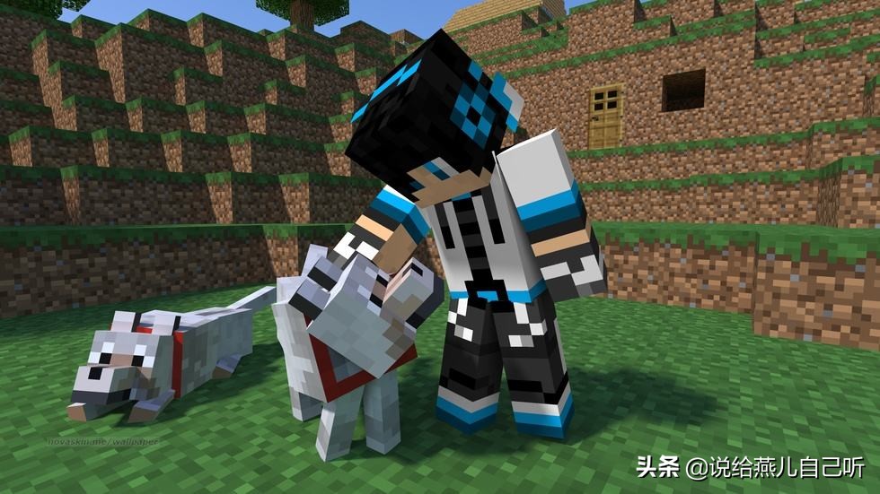 我的世界mc玩家都看过的动作,我的世界mc玩家才看得懂的图片