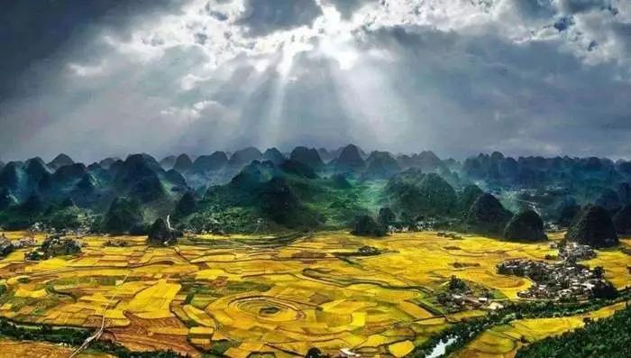 莫言饥荒描写,莫言山东高密东北乡