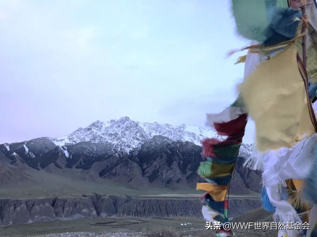 怎么品味红茶,怎样品味一壶好茶