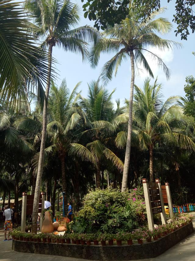 蜈支洲岛到天涯海角有多远,蜈支洲岛和天涯海角哪个好