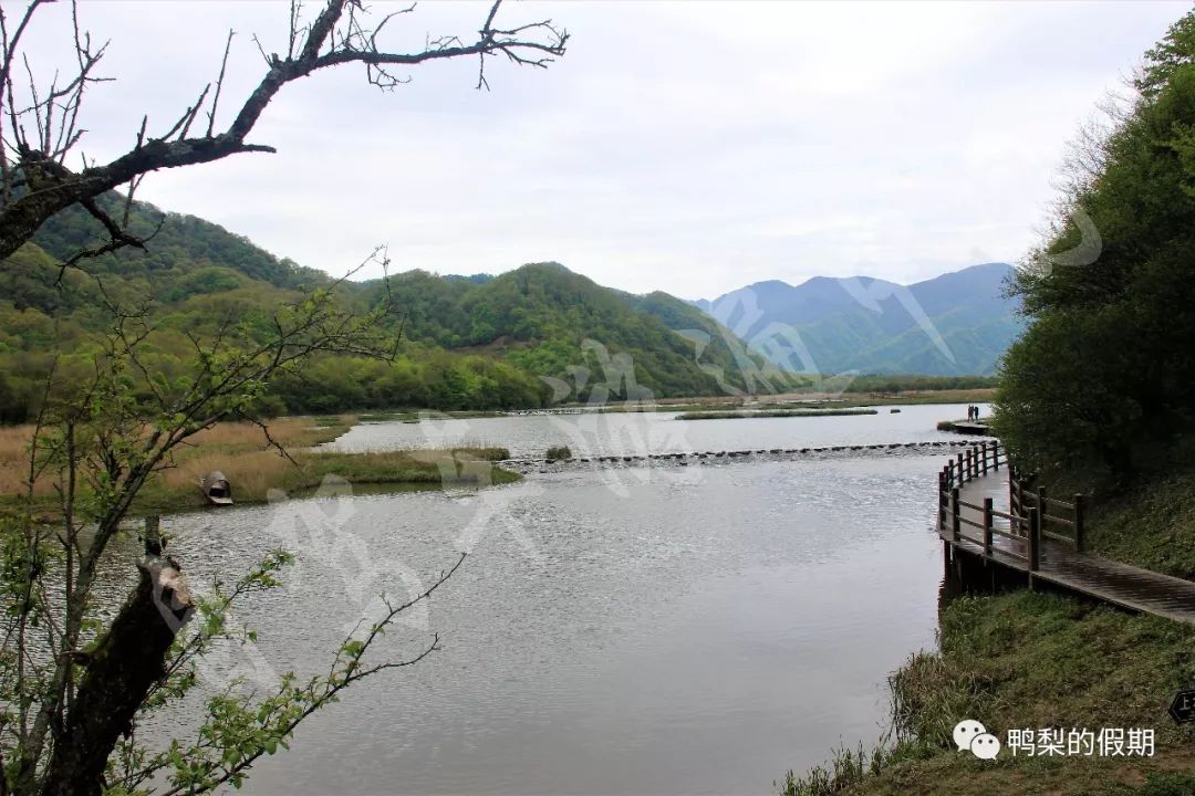 自驾车游遍中国之（一）——世界那么大，我想去神农架