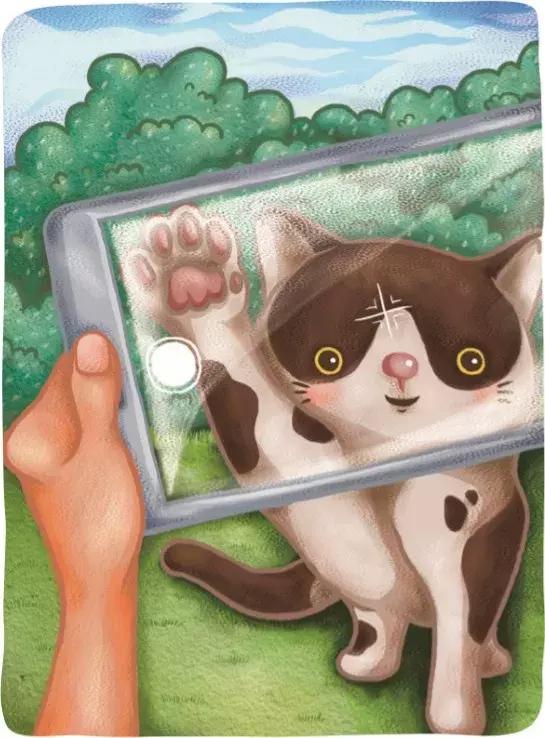 超美好的有散步感的桌游《猫街》终于正式进入大陆！