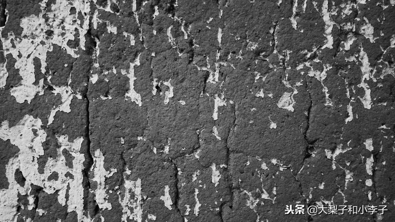 moto照相,moto拍照效果