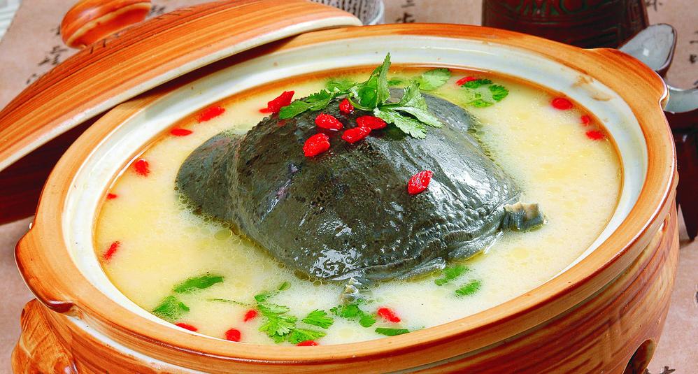 最赚钱的养殖甲鱼火爆,致富经养甲鱼年赚千万