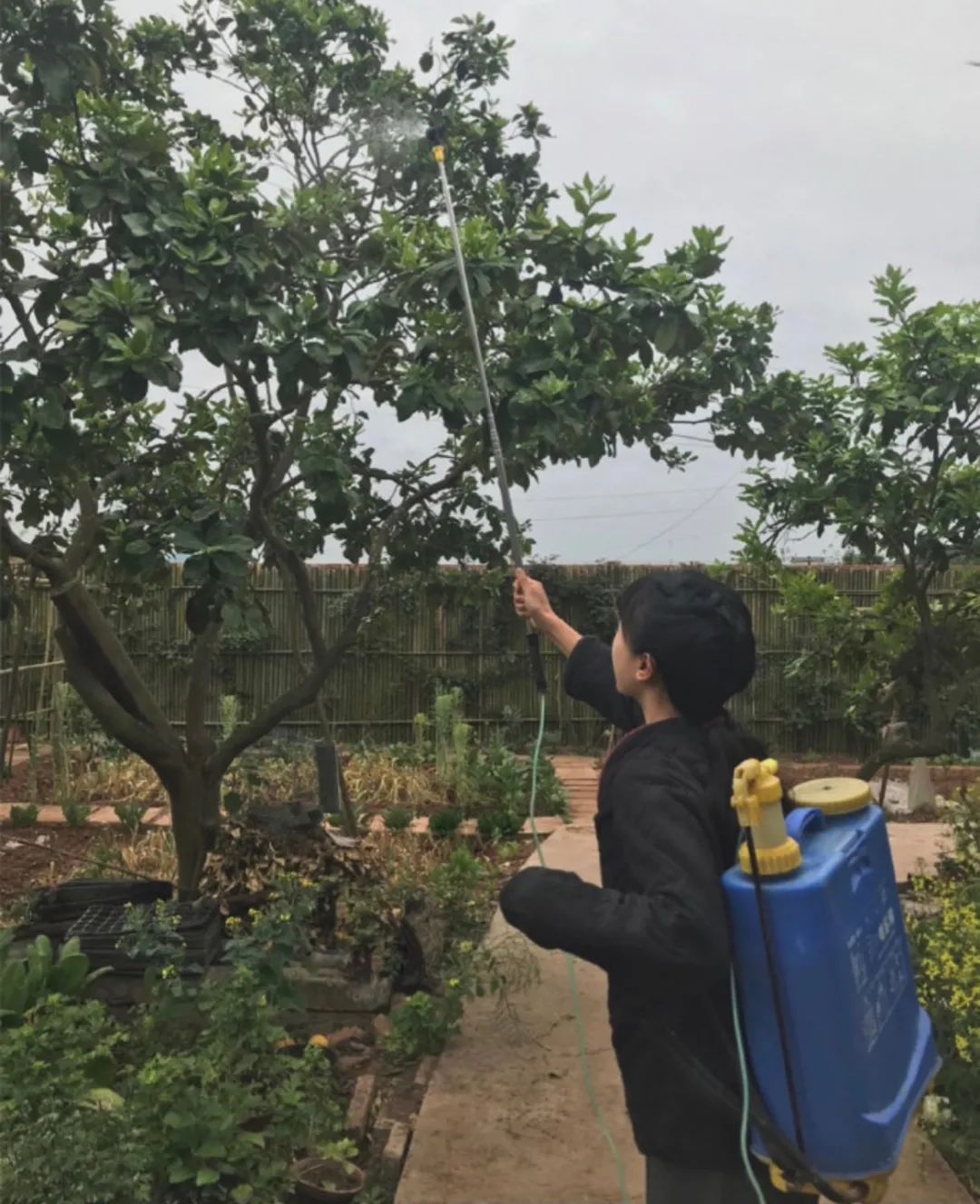 李子柒报警,李子柒有被跟踪吗