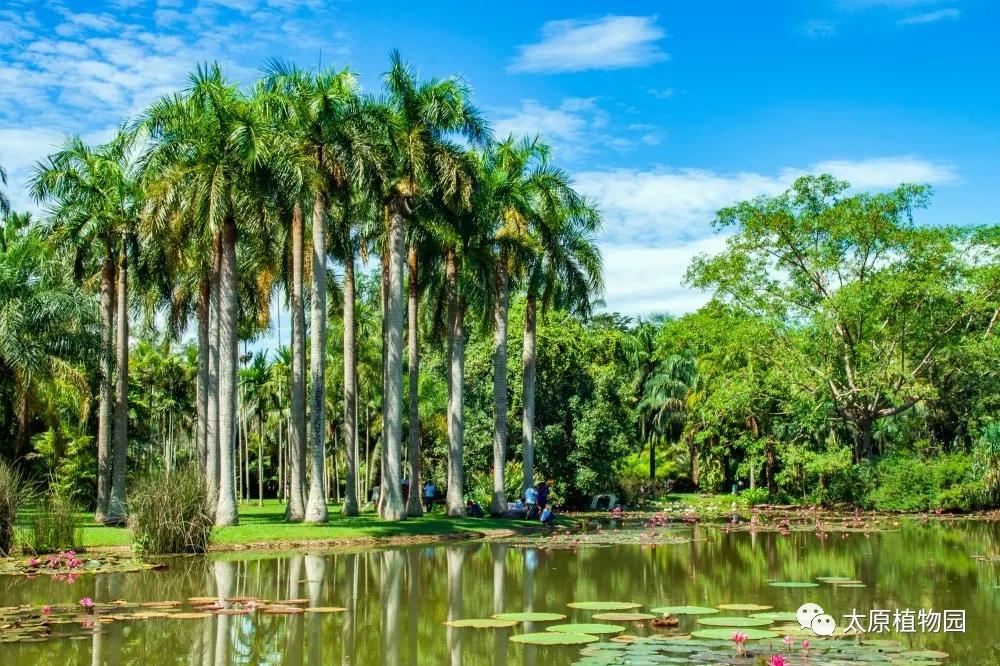 动植物园国庆游玩攻略,国庆节可以去的植物园