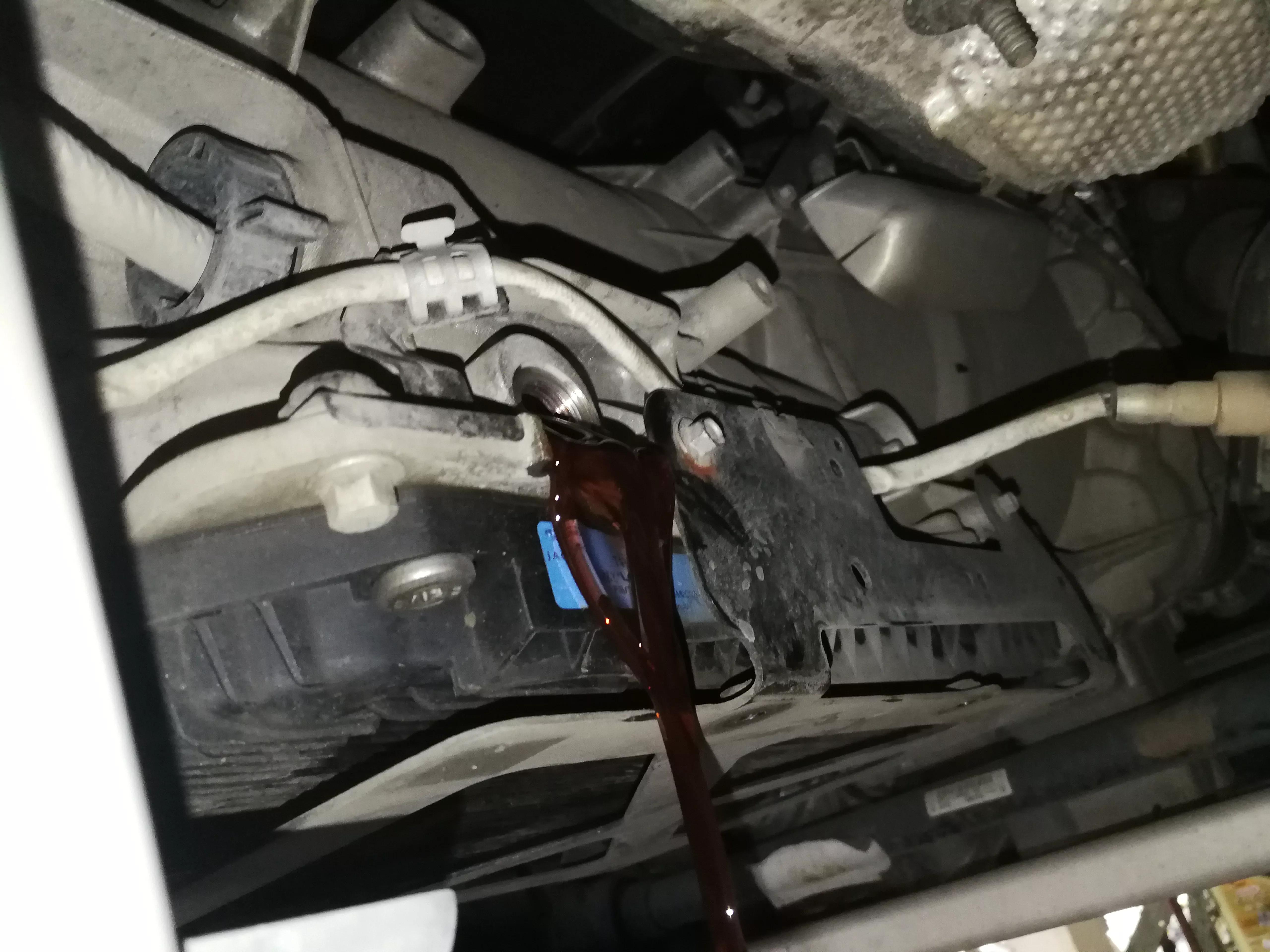 土豆的养车日记：路虎揽运8万里程对伙伴的优待