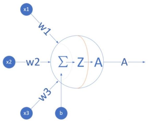 神经网络工作原理视频,特斯拉视觉神经网络的原理