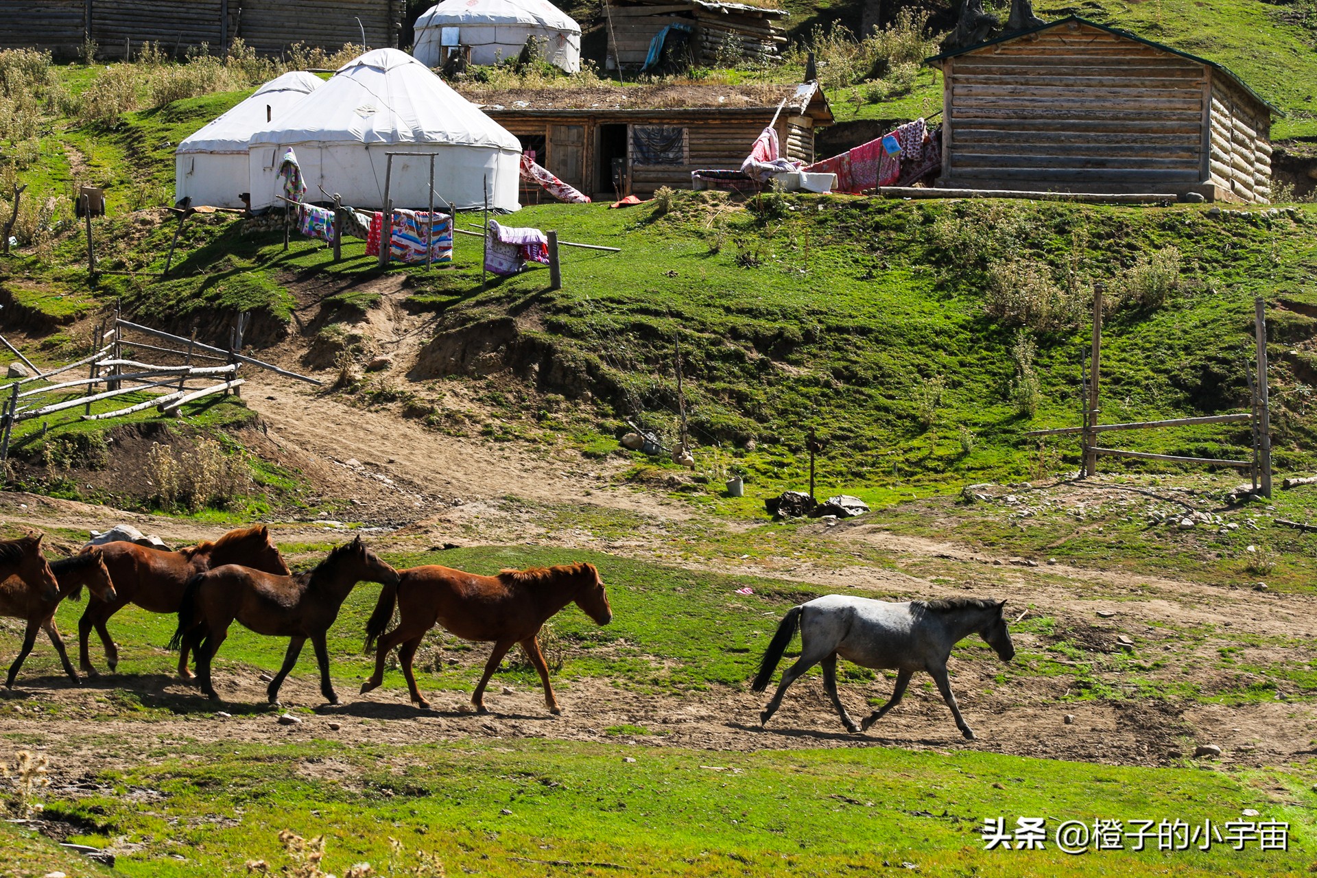 怀念琼库什台的羊毛被