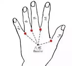 中老年穴位拍打养生操教学视频,十二经络二十八个穴位拍打操