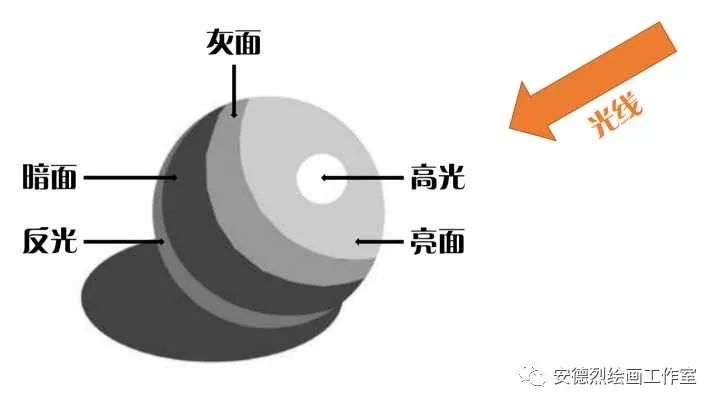 素描人头怎么擦出体积感,人像素描体积感如何表达