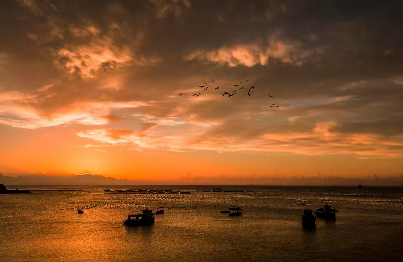 温州旅游攻略必去景点带孩子,温州游玩超详细攻略