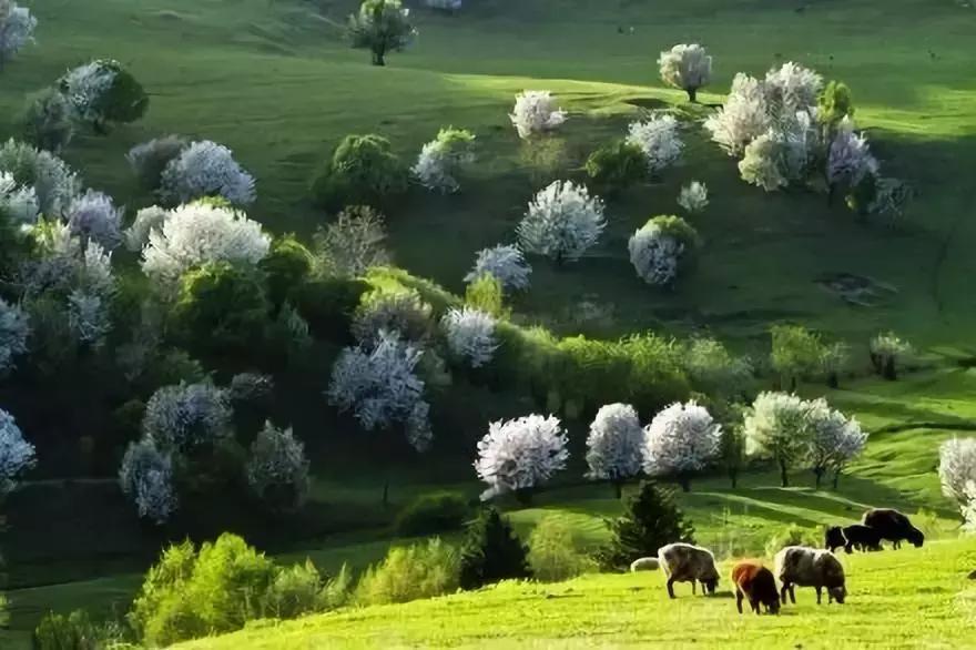 python12306自动抢票,python12306自动抢票教程