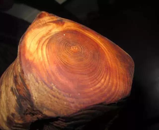 玩木头推荐木材,玩木头的十大好处