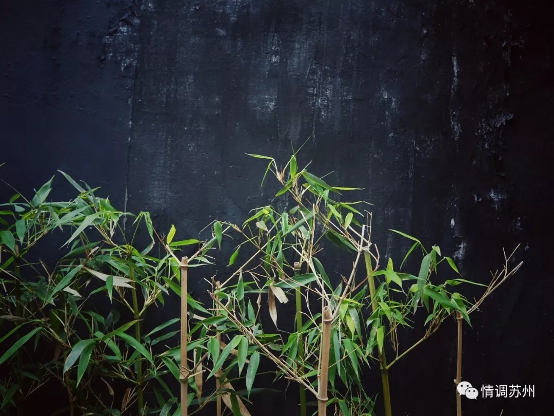 这条不足300米巷子，既有观前街的夜色迷离，也有价值连城的收藏