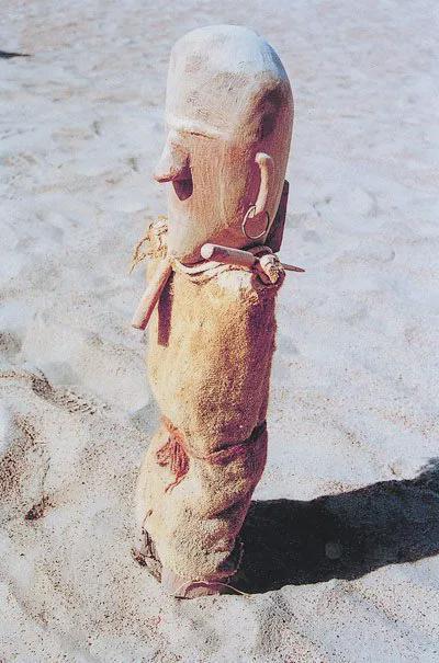 西域魅影是什么,西域魅影是人吗