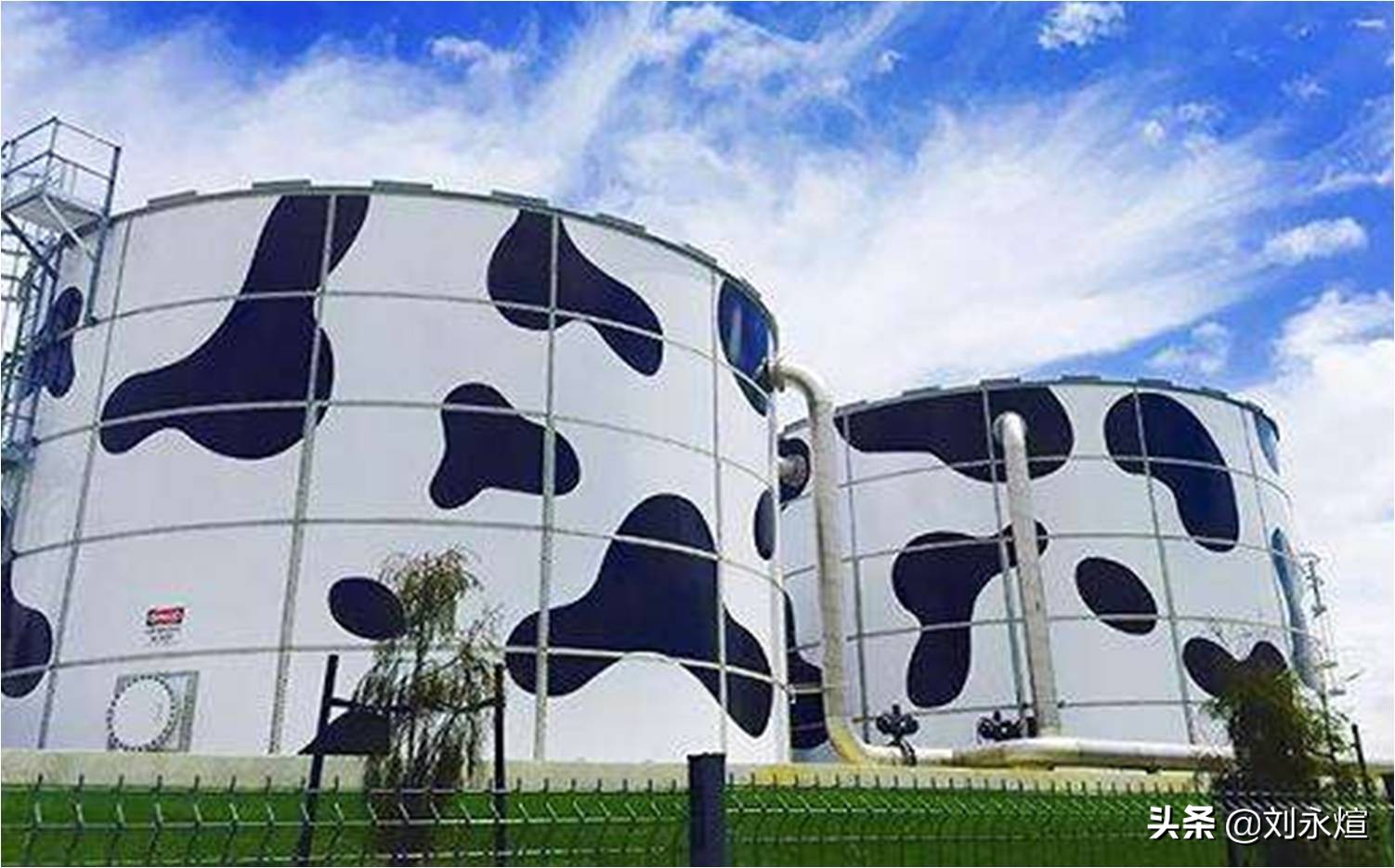 左手卖君乐宝，右手买贝拉米：蒙牛萌萌的千亿进阶逻辑