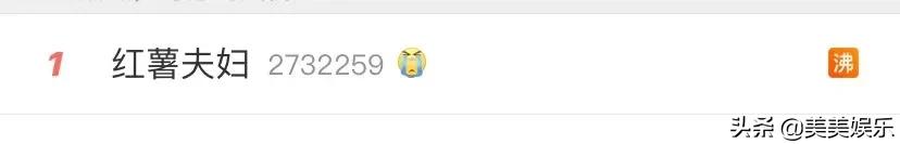 红薯夫妇十年之约倒计时微博,2010韩流演唱会红薯夫妇