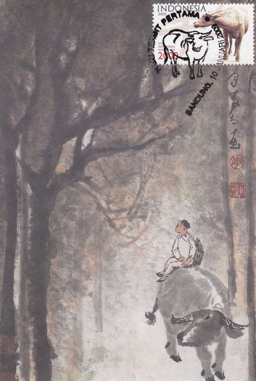 生肖牛视频大全,生肖牛第一期视频