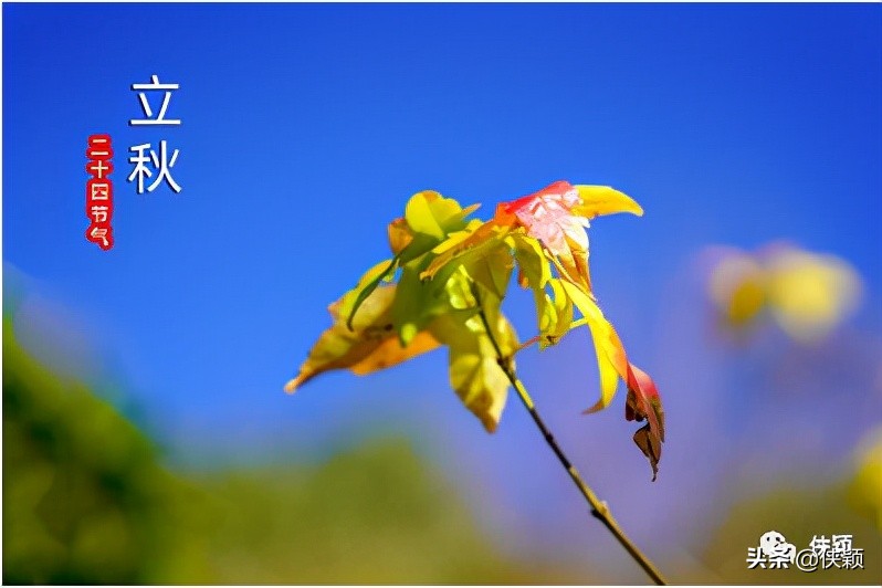 工作分析的方法与程序,工作分析自考题和答案