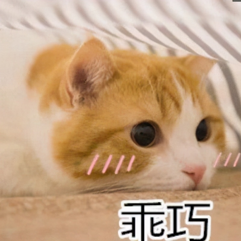 斑点狗、DZ、ZB到底是什么意思？小升初简称暗语大揭秘