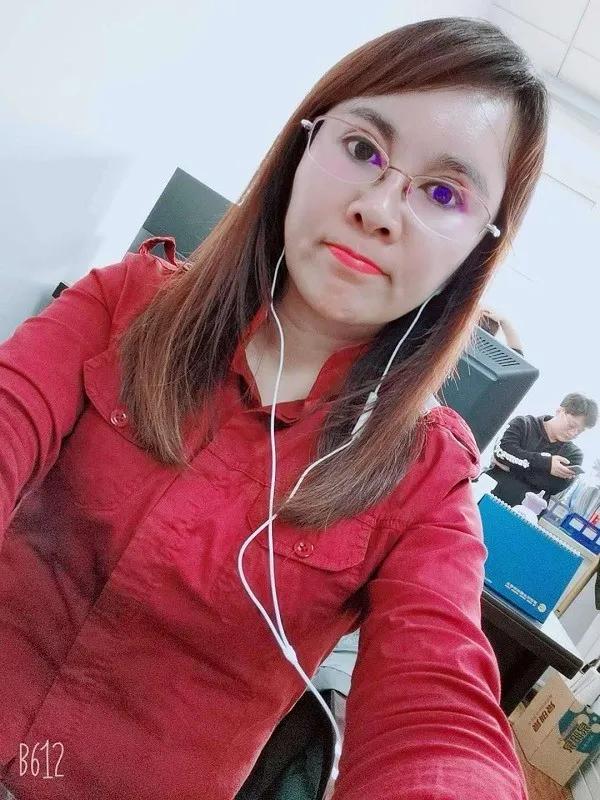 美丽迎春花开了,迎春花盛开的绝美春日盛景