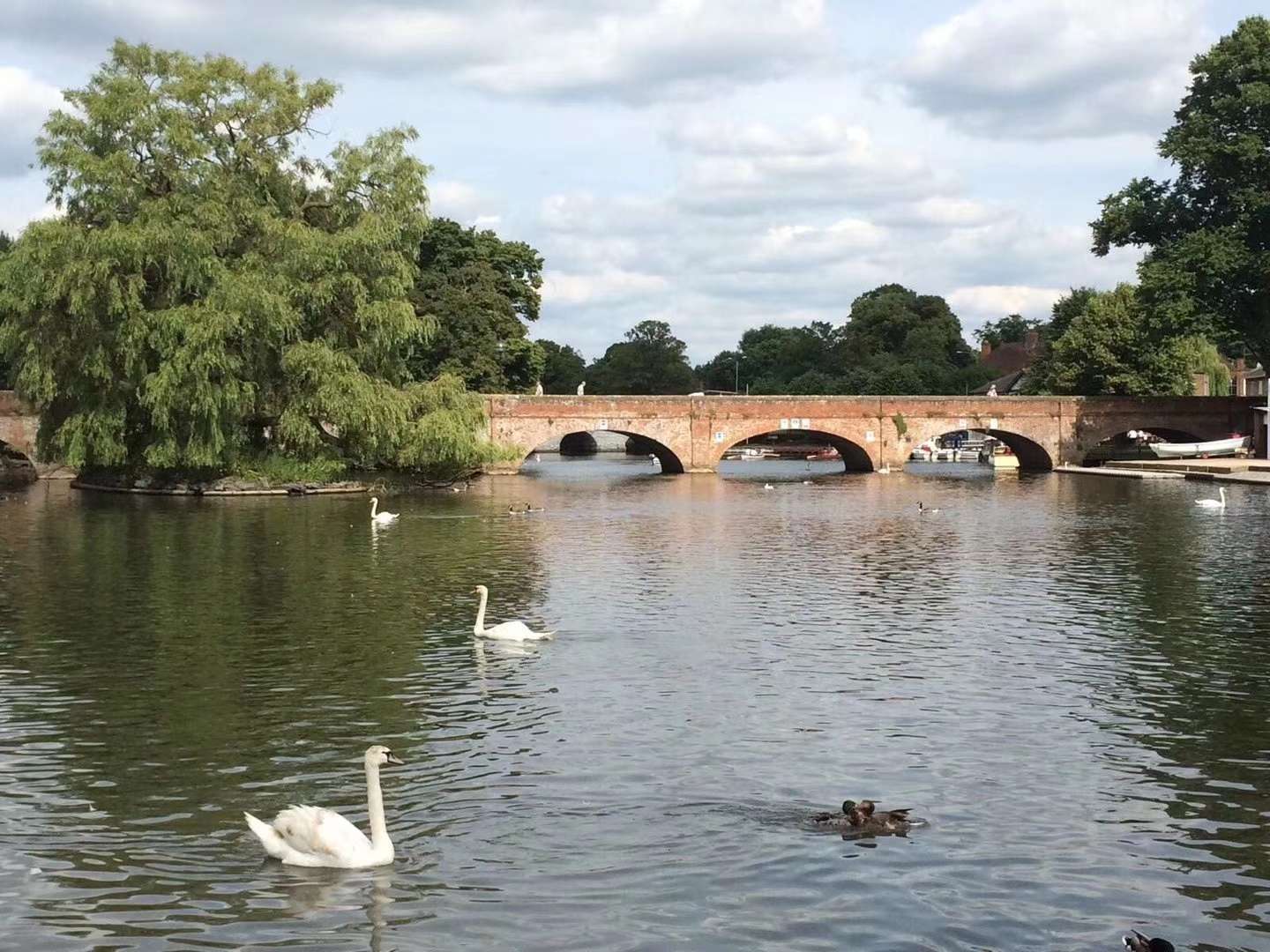 爱尔兰莎翁小镇,冒险岛莎翁小镇怎么去