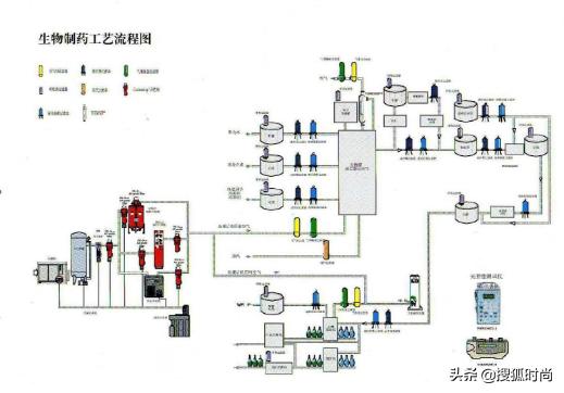 胎盘面膜作用,胎盘面膜的作用