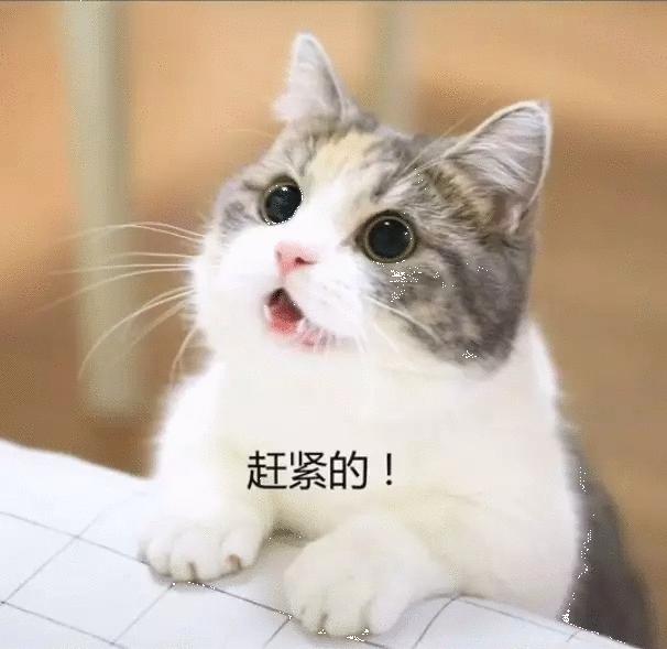 粤语中的“AAB”叠词,你认识哪一些?