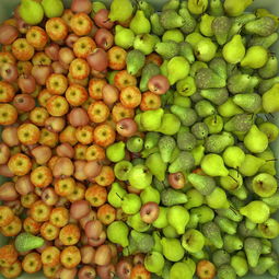 这6种水果蒸着吃止咳化痰又润肺,一些止咳的水果