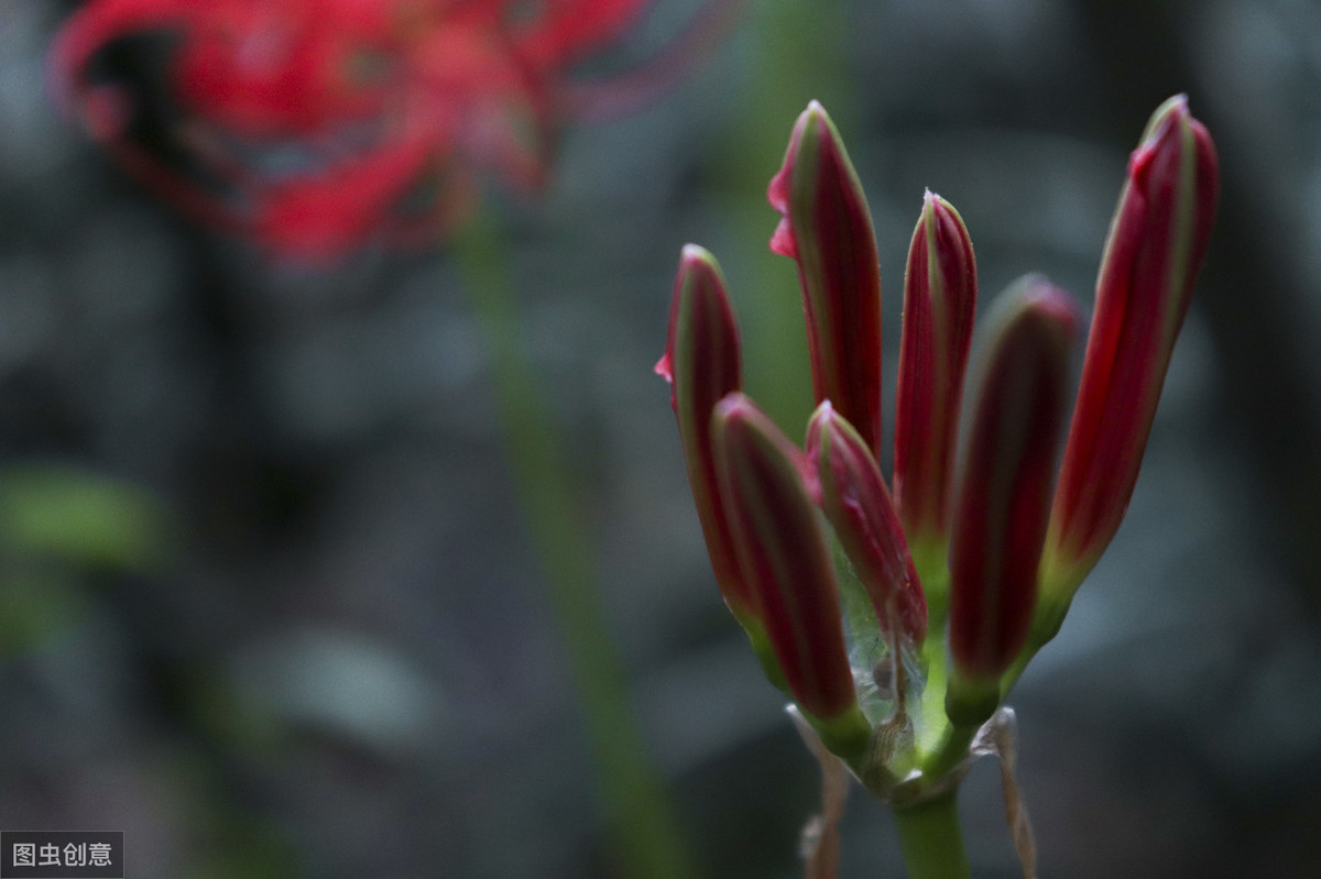 90后00后炒股的人多吗,最有潜力炒的虚拟币