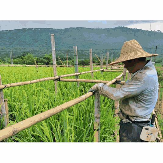 七个闺蜜造房养老,7个闺蜜一起改造农村小院