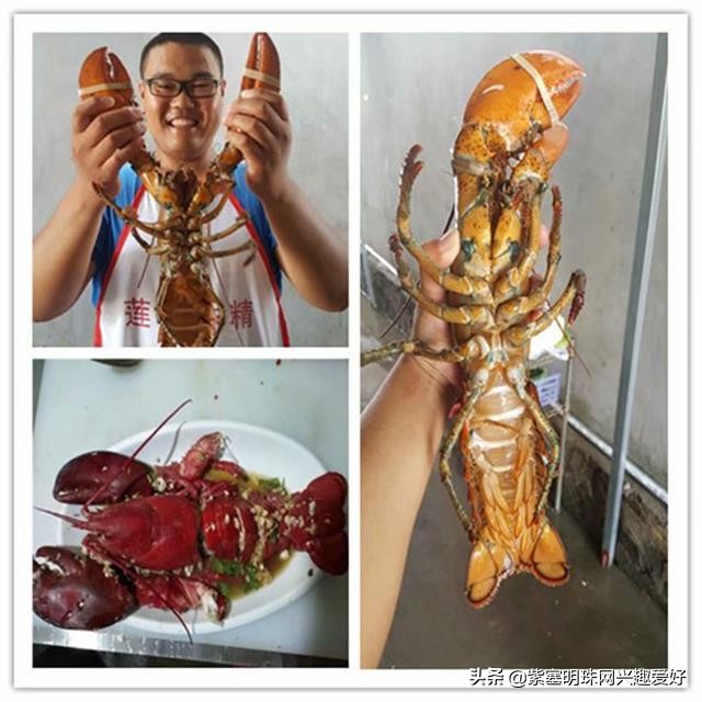 换一个角度享受生活乐趣,日照吴家台渔家乐推荐