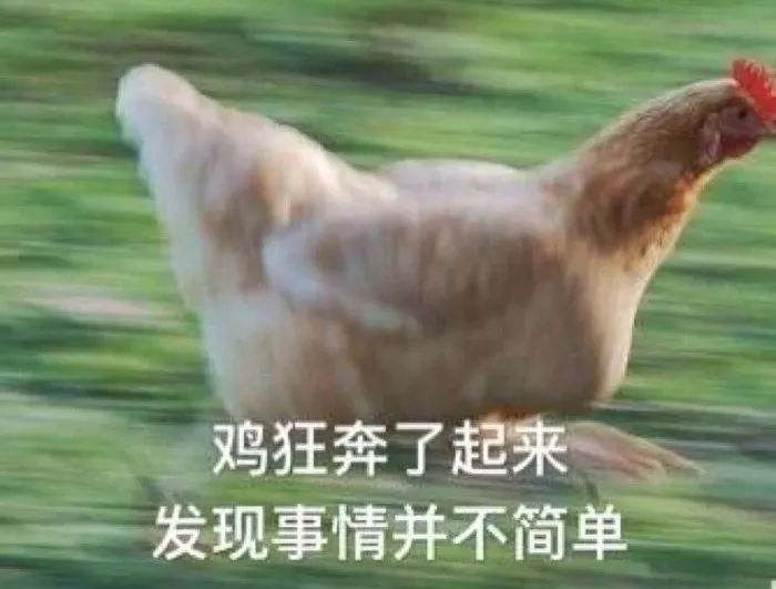 鸡100元10只怎么购买,100元钱一只的鸡