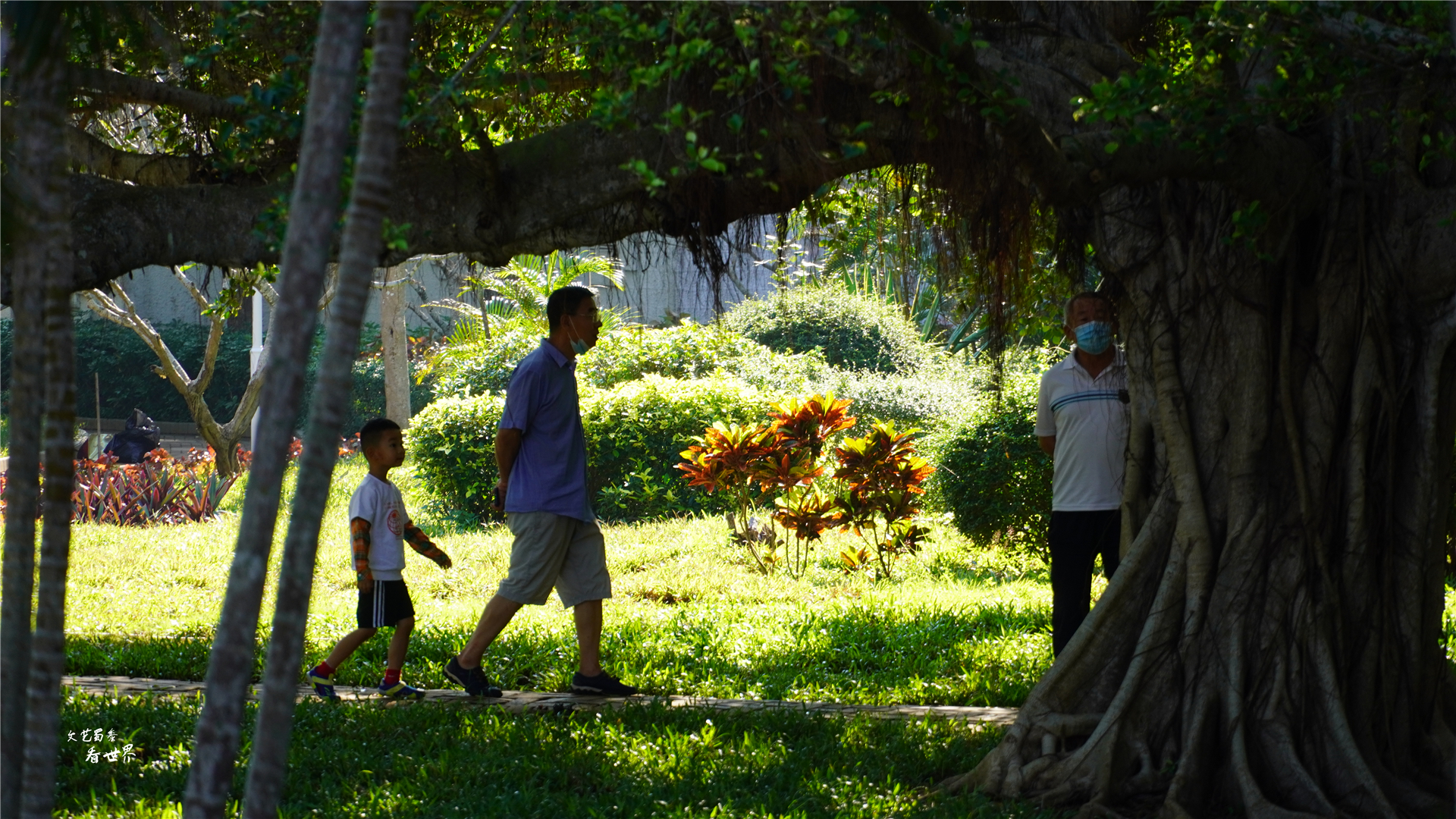 海口被东北人严重低估了，冬天也就冷一个月，跟三亚比差啥呀？