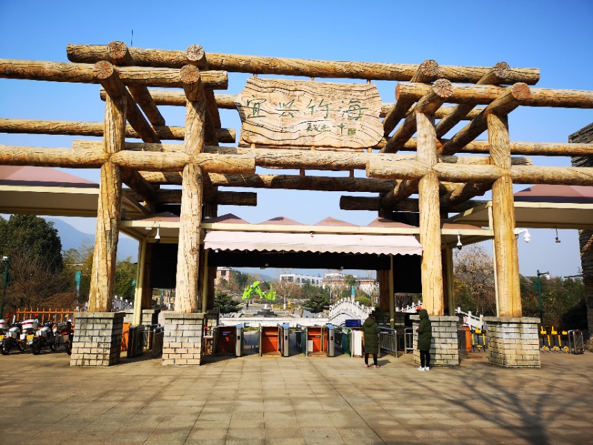 宜兴竹海游和龙背山森林公园游记