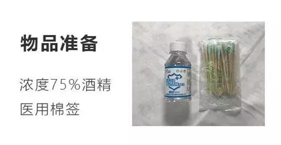 新生儿脐带一个月还没脱落正常吗,新生儿脐带一个月还没掉正常吗