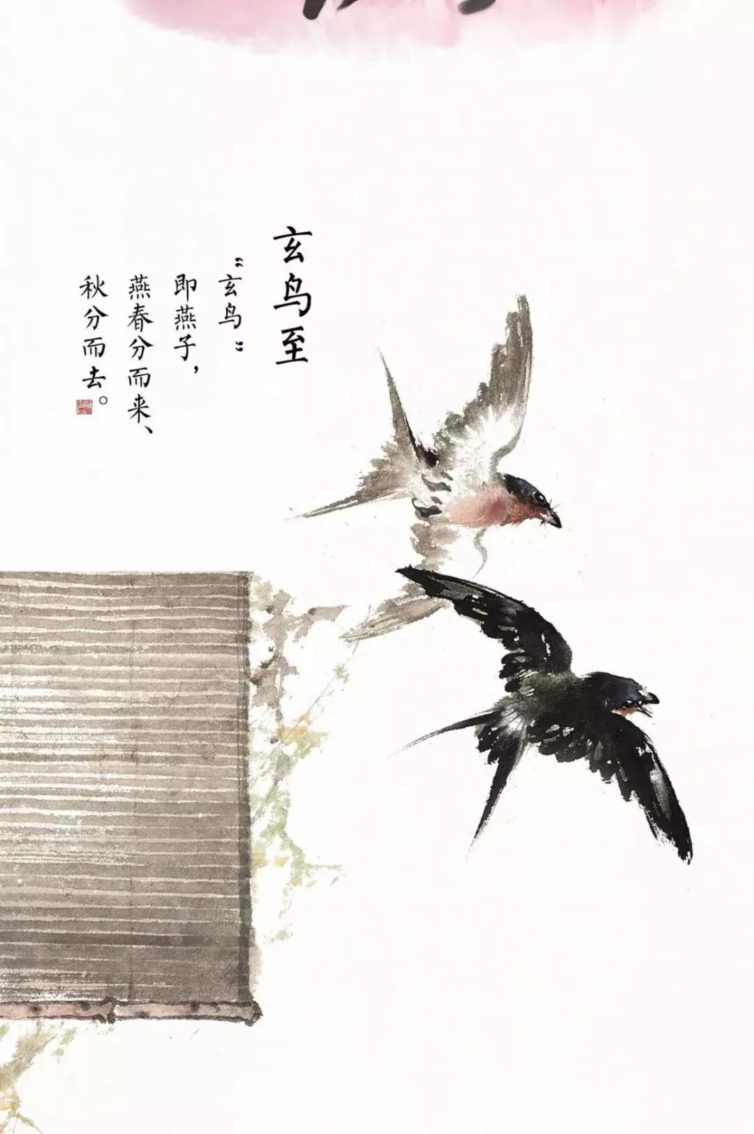 今日春分正是人间好时节,春分小常识每日分享