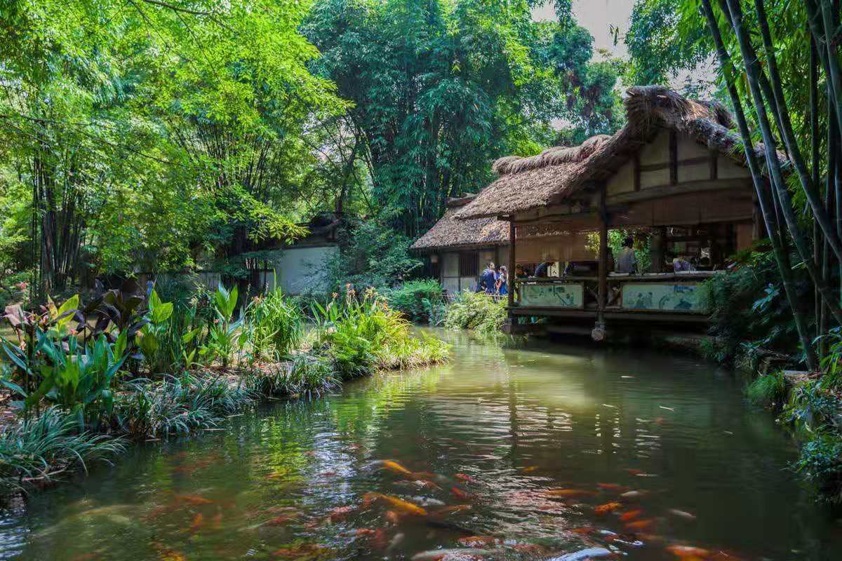 杜甫现实主义作品欣赏,杜甫人生的四个阶段及作品风格