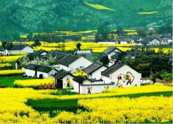 农村最稀缺的创业行业,未来5年农村创业风口