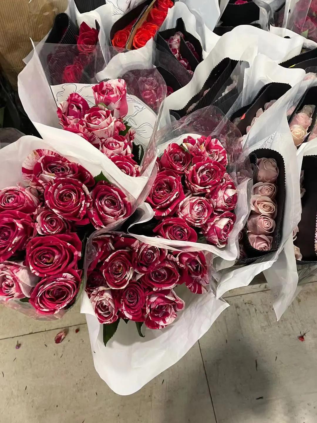 实拍青岛花卉市场！你每年都会选购哪些品种的年宵花呢？